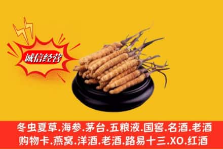 黔南州瓮安求购回收虫草多少钱每克